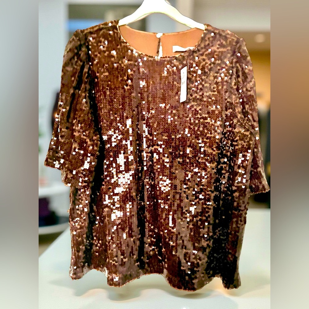 LOFT Brown Sequin Top